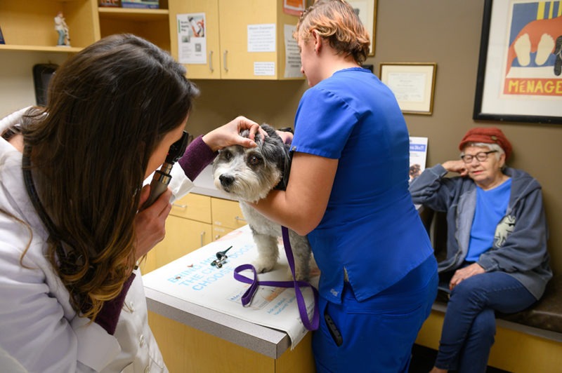 Meet our Veterinarians and Staff Wichita, KS Skaer Veterinary Clinic