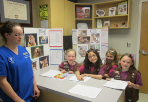 Brownie Girls Scouts 1