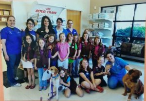 Brownie Girls Scouts 8