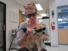 Laser Therapy 1