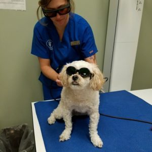 Laser Therapy 2