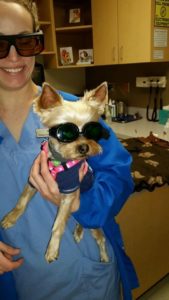Laser Therapy 3