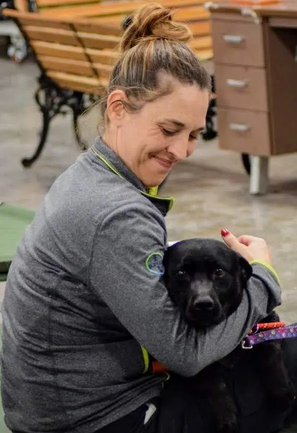 Get Involved - Kansas State Animal Response Team - Wichita, Kansas - Skaer Veterinary Clinic