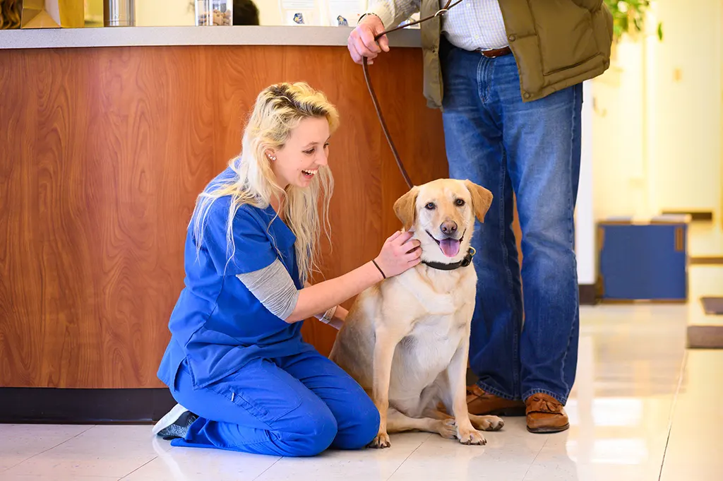 About Skaer Veterinary Clinic - Wichita, Kansas