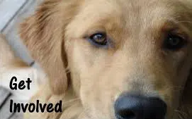 Get Involved - Kansas State Animal Response Team - Wichita, Kansas - Skaer Veterinary Clinic