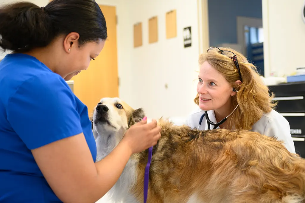 Testimonials From Pet Owners - Wichita, KS - Skaer Animal Clinic