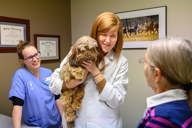 Stress-Free Animal Hospital - Wichita, KS - Skaer Veterinary Clinic