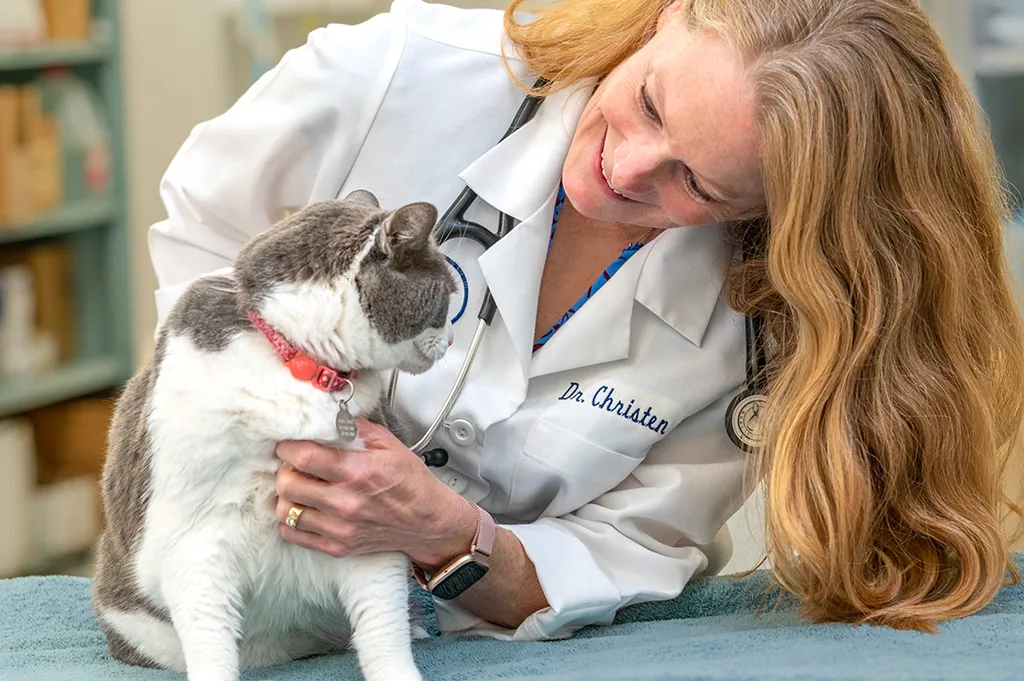 Core Values - Compassion - Skaer Veterinary Clinic - Wichita, Kansas