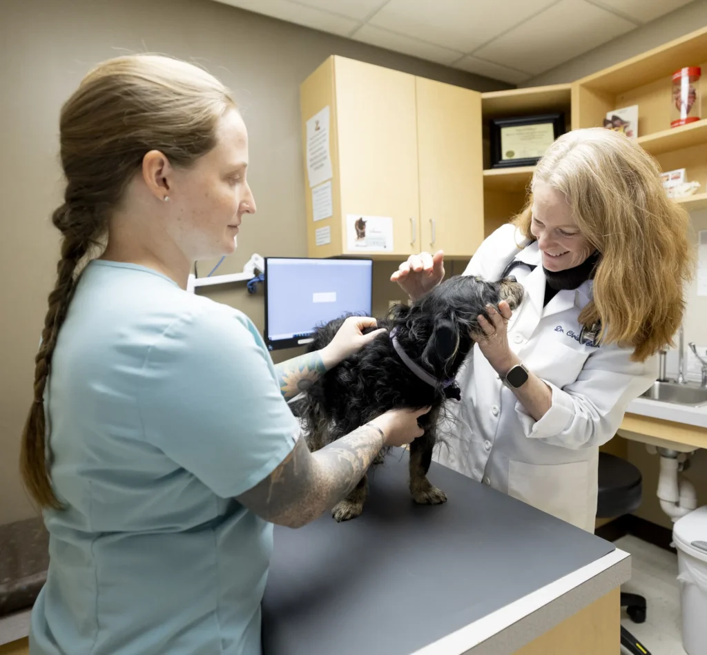 Routine Wellness Care, preventive pet care Wichita, pet health check-ups Wichita