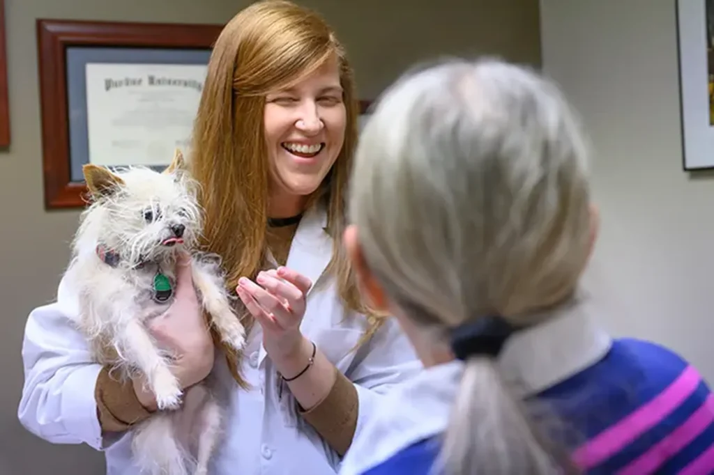 Ultrasound, pet ultrasound services Wichita, veterinary ultrasound for dogs and cats